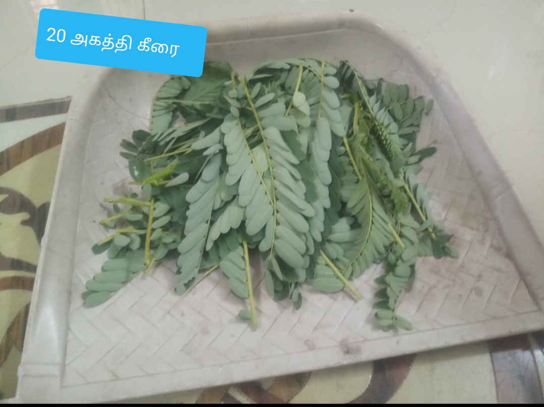 அகத்திகீரை