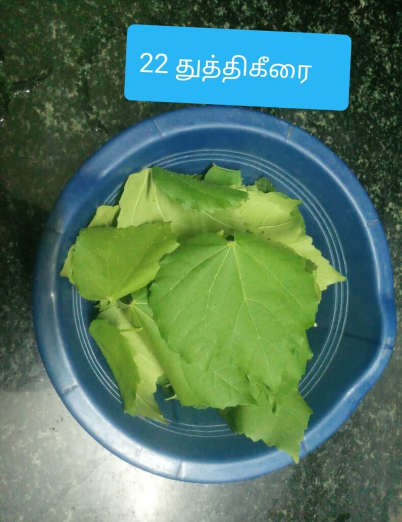 துத்திகீரை